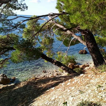 Nadia Seaview Apartment *